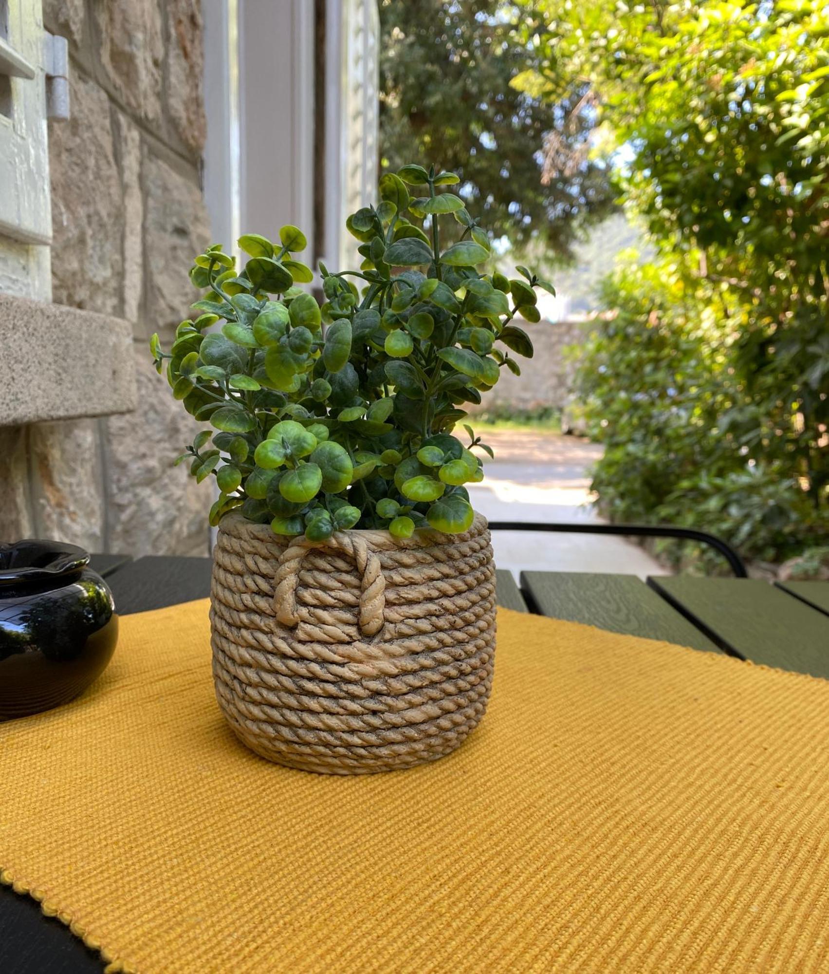 Apartment Mario Dubrownik Zewnętrze zdjęcie
